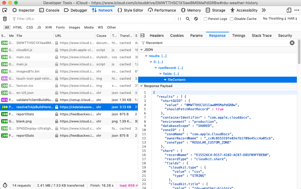 Screenshot of network inspector
